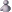 CarloMaxxine